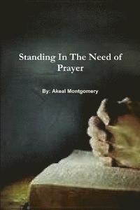 bokomslag Standing In The Need of Prayer
