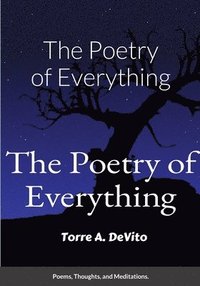 bokomslag Poetry of Everything