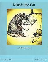 Marvin the Cat A Ricky Rat Adventure 1