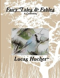 bokomslag Fairy Tales and Fables