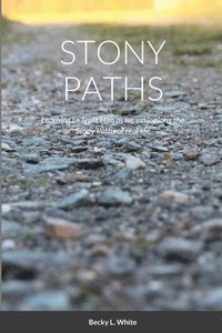 bokomslag Stony Paths