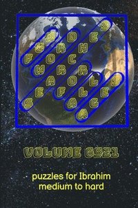 bokomslag Fun Word Searches for All Ages Volume 6521