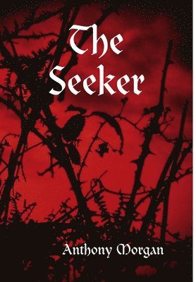 The Seeker 1