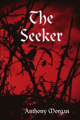 The Seeker 1