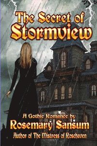 bokomslag The Secret of Stormview