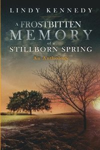 bokomslag A Frostbitten Memory of a Stillborn Spring