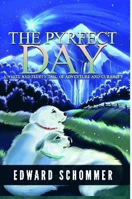 Edward Schommer - Pyrfect Day, Häftad