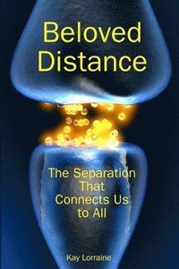 bokomslag Beloved Distance