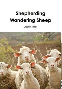 bokomslag Shepherding Wandering Sheep