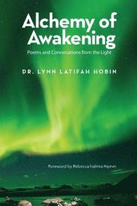 bokomslag Alchemy of Awakening