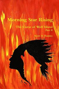 bokomslag Morning Star Rising