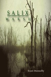 bokomslag Salix Marsh