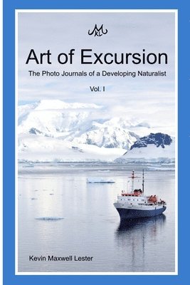 bokomslag Art of Excursion Vol. 1