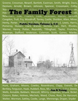 Family Forest 1