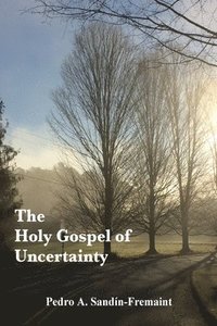 bokomslag The Holy Gospel of Uncertainty