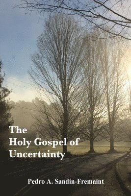 bokomslag The Holy Gospel of Uncertainty