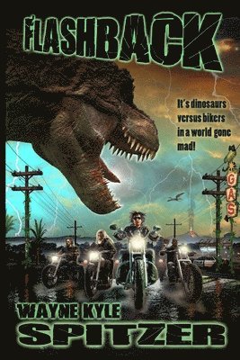 Wayne Kyle Spitzer - Flashback, Häftad