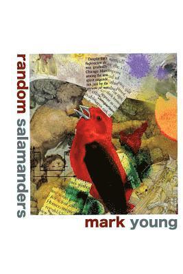Mark Young - random salamanders, Häftad