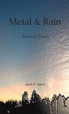 Jacob Salzer - Metal & Rain, Häftad