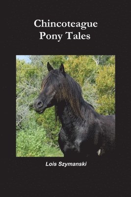 bokomslag Chincoteague Pony Tales