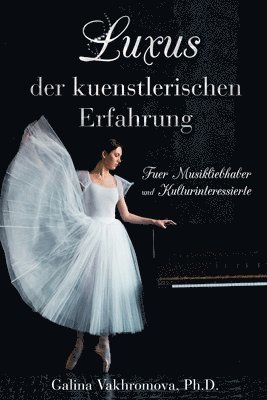 bokomslag Luxus der kuenstlerischen Erfahrung Fuer Musikliebhaber und Kulturinteressierte