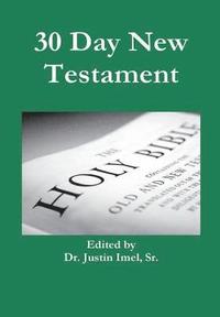 bokomslag 30 Day New Testament