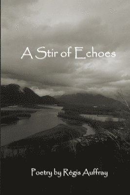 A Stir of Echoes 1
