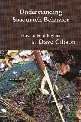 bokomslag Understanding Sasquatch Behavior