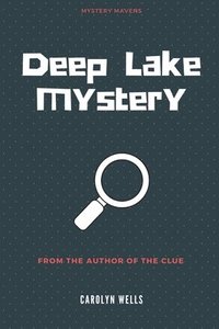 bokomslag Deep Lake Mystery
