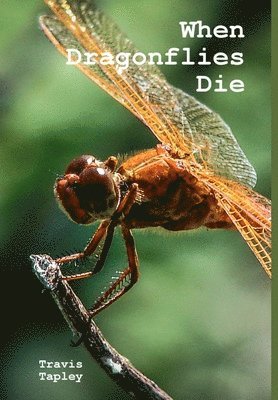 bokomslag When Dragonflies Die