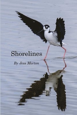Shorelines 1