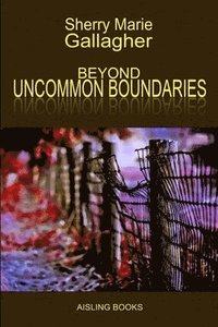 bokomslag Beyond Uncommon Boundaries