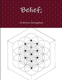bokomslag Belief;