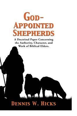 bokomslag God Appointed Shepherds