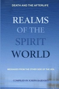 bokomslag Realms of the Spirit World