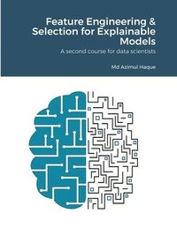 bokomslag Feature Engineering & Selection for Explainable Models