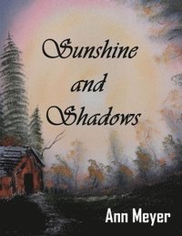 bokomslag Sunshine and Shadows
