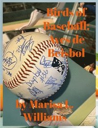 bokomslag Birds of Baseball