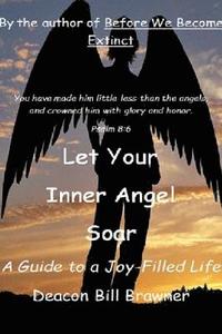 bokomslag Let Your Inner Angel Soar