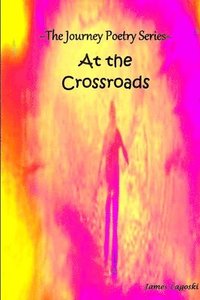 bokomslag The Journey At The Crossroads