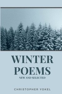 bokomslag Winter Poems