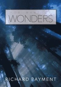 bokomslag For Want of Wonders