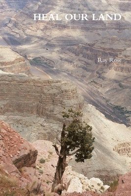 Ray Rose - Heal Our Land, Häftad