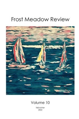 Patrick Stanton, Jackie Matthews - Frost Meadow Review Volume 10, Häftad