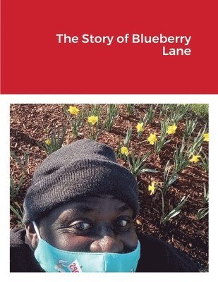 bokomslag The Story of Blueberry Lane