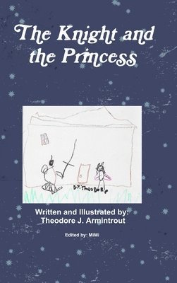 bokomslag Knight and the Princess