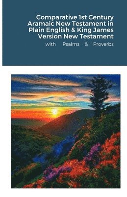 bokomslag The Comparative 1st Century Aramaic Bible in Plain English & King James Version New Testament with Psalms and Proverbs