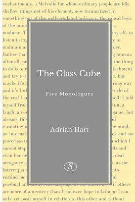 Adrian Hart - Glass Cube, Häftad