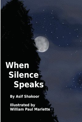 bokomslag When Silence Speaks