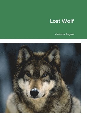 bokomslag Lost Wolf